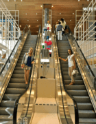 Offrez des fleurs made in Var !