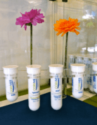 SEAGALE invente le short de bain idéal