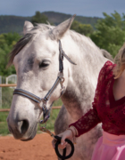 Wishlist #4 « Itsi bitsi petit bikini »