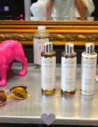 J’ai vu des dauphins en mer au Lavandou grâce à Souffleurs d’écume