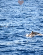 Confessions intimes : comment bien choisir sa lingerie ?