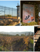 Look #25 « The French Kiss »