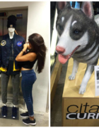 Expo : derniers jours de Design Parade Toulon #1